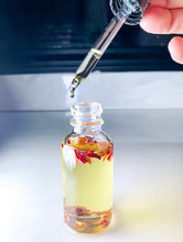 Load image into Gallery viewer, Refresh